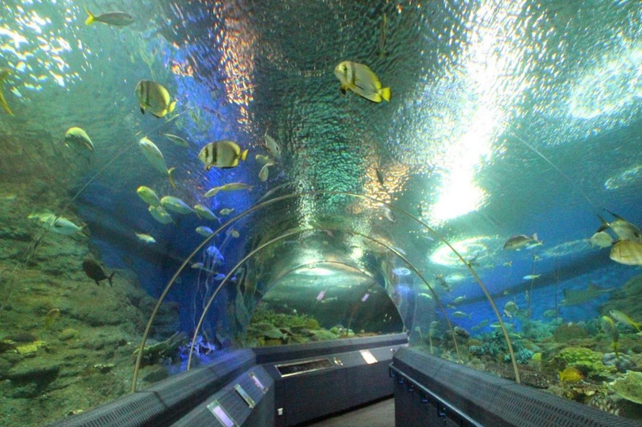 Oyo 549 Maesri Resort Pattaya Zewnętrze zdjęcie